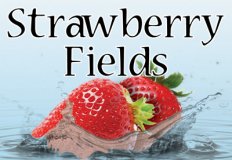 Strawberry Fields Flavor E-Liquid