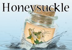 Honeysuckle Flavor E-Liquid