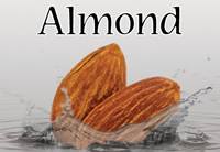 Almond - Silver Cloud Edition