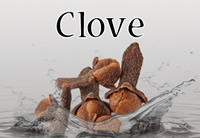 Clove - Silver Cloud Edition