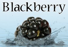 Blackberry Flavor E-Liquid