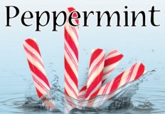 Peppermint Flavor E-Liquid