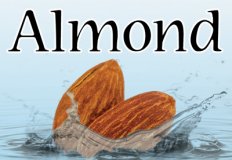 Almond Flavor E-Liquid