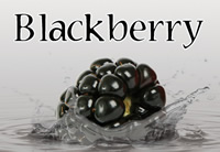 Blackberry - Silver Cloud Edition