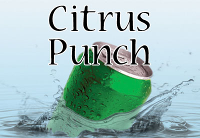 Citrus Punch Flavor E-Liquid