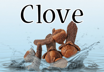 Clove Flavor E-Liquid