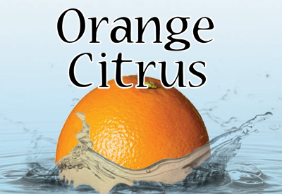Orange Citrus Flavor E-Liquid